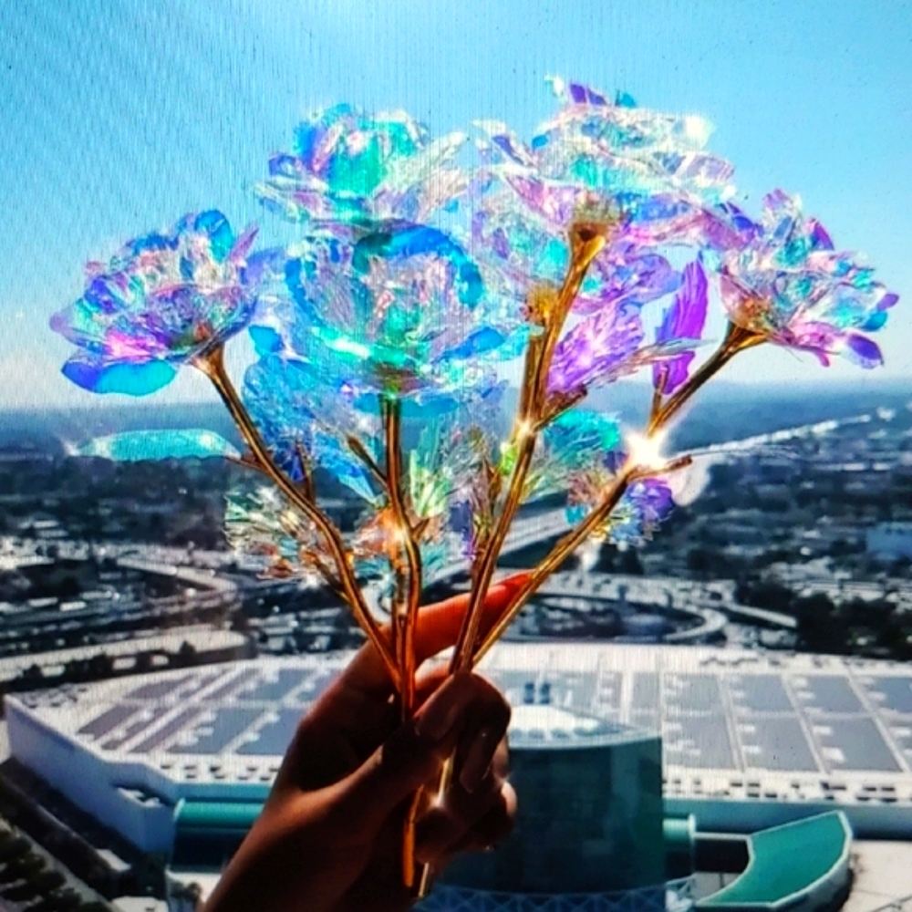 Rainbow Iridescent Rose with Golden Stem 🌹Single Rose 🌹Golden Rose 🌹